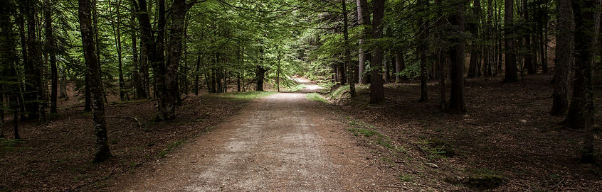 _MG_3858-grande-1.jpg